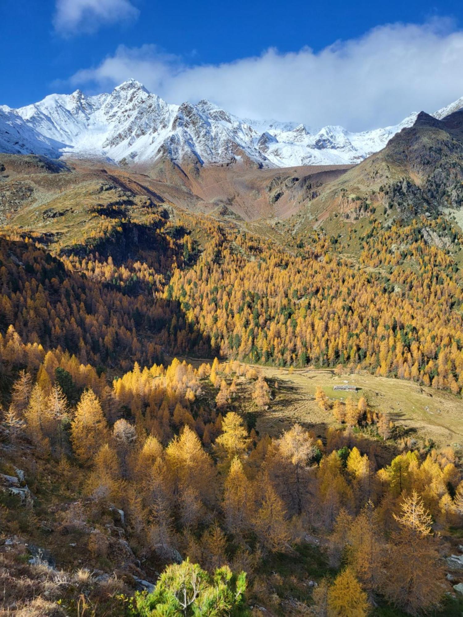 Natur Pur Hotel Unterpichl Ulten Buitenkant foto