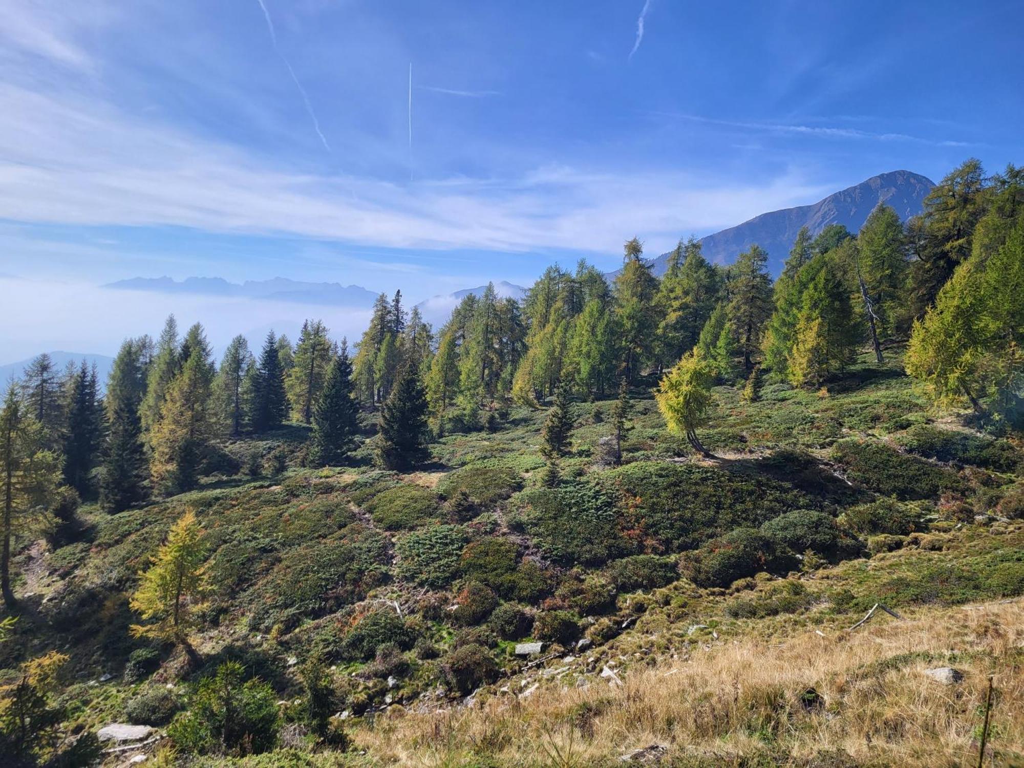 Natur Pur Hotel Unterpichl Ulten Buitenkant foto